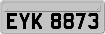 EYK8873