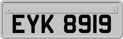 EYK8919