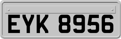EYK8956