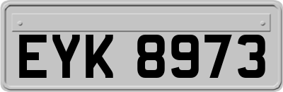 EYK8973