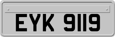EYK9119