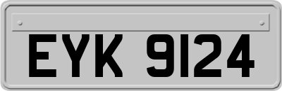 EYK9124