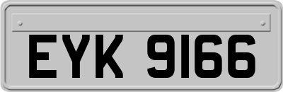 EYK9166