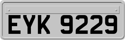 EYK9229