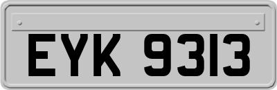 EYK9313
