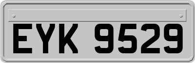 EYK9529