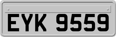 EYK9559