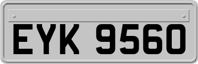EYK9560