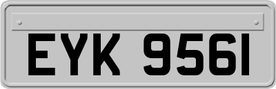 EYK9561