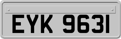 EYK9631