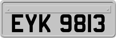 EYK9813