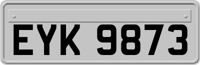 EYK9873