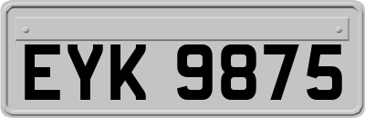 EYK9875