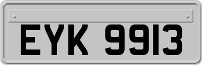 EYK9913