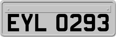 EYL0293