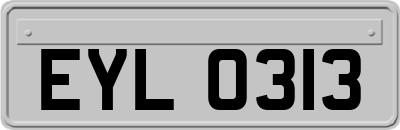 EYL0313