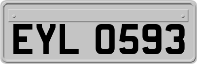 EYL0593