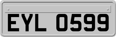 EYL0599
