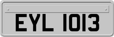 EYL1013