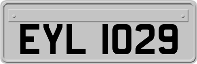 EYL1029