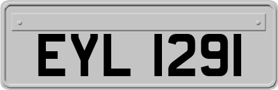 EYL1291