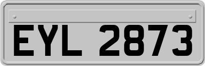 EYL2873