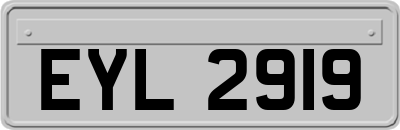 EYL2919