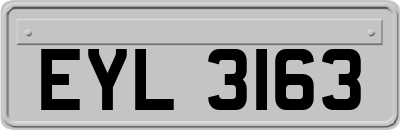 EYL3163