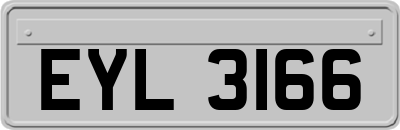 EYL3166