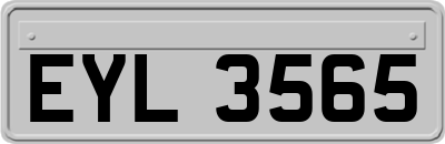 EYL3565