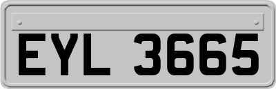 EYL3665