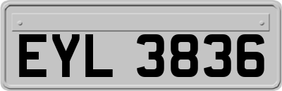 EYL3836