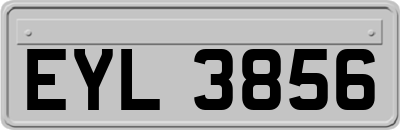 EYL3856