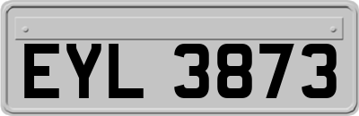 EYL3873