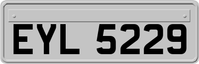 EYL5229