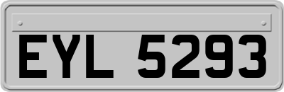 EYL5293