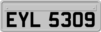 EYL5309