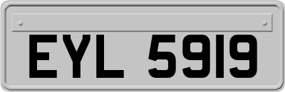 EYL5919
