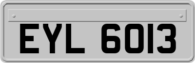 EYL6013