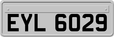 EYL6029