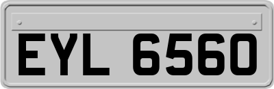 EYL6560