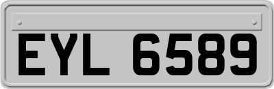 EYL6589