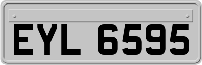 EYL6595