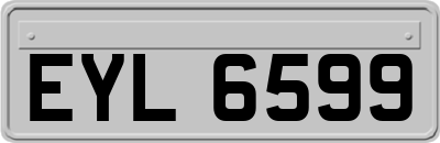 EYL6599