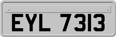 EYL7313