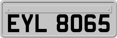 EYL8065
