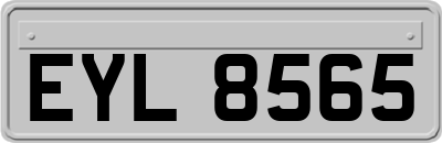 EYL8565