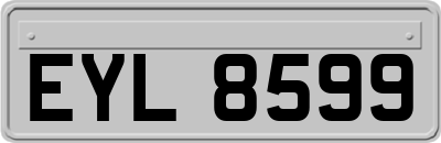 EYL8599
