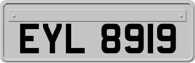 EYL8919