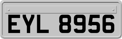 EYL8956